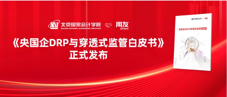 穿透见实效,AI创价值 | 《央国企DRP与穿透式监管白皮书》正式发布